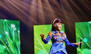 凤凰飞dj版乌兰图雅 凤凰飞dj版乌兰图雅