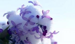 世上独一无二的你 世上独一无二的你