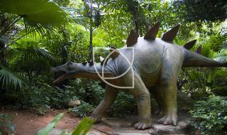 广东检出1例恐龙血 广东检出1例恐龙血