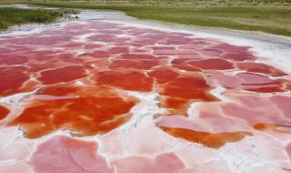 运城盐湖区地图 运城盐湖区地图