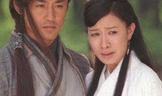 佘诗曼拍过的电视剧