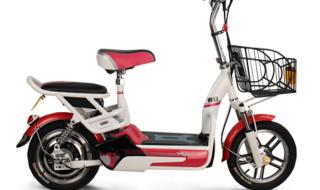 新日电动车的价格 新日电动车的价格