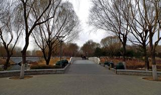 大兴野生动物园门票