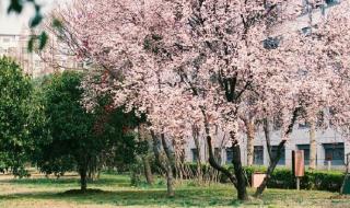 苏州农业职业技术 苏州农业职业技术